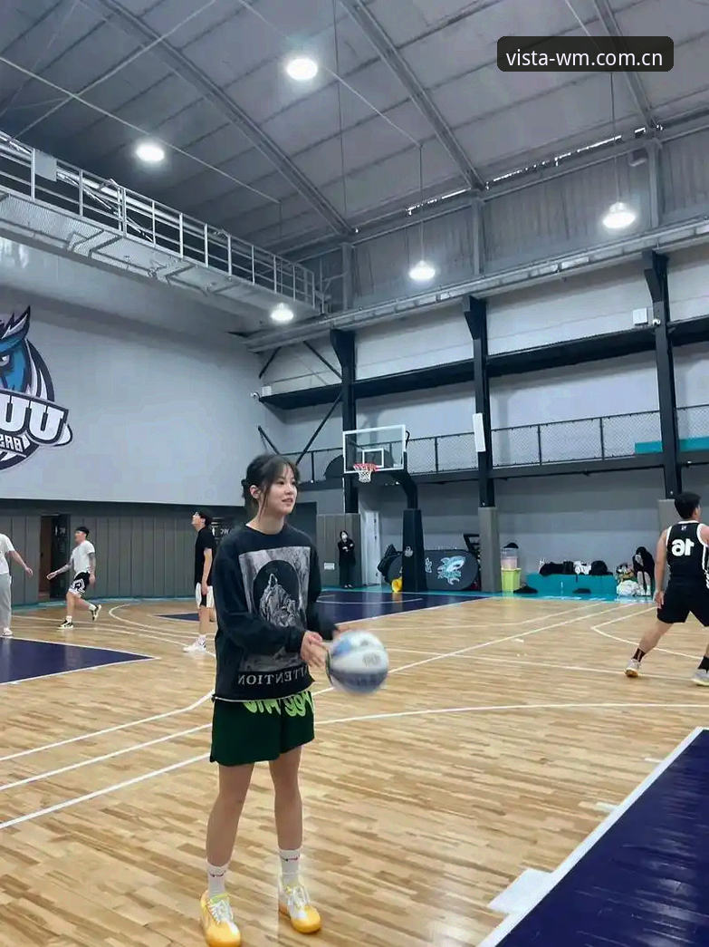 完美体育官网与wm平台使用详解